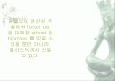 자동차가 가지는 의미와 환경에 미치는 요인들 76페이지