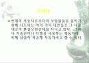 자동차가 가지는 의미와 환경에 미치는 요인들 80페이지