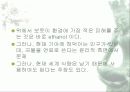 자동차가 가지는 의미와 환경에 미치는 요인들 83페이지
