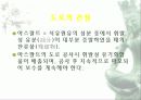 자동차가 가지는 의미와 환경에 미치는 요인들 86페이지