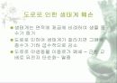 자동차가 가지는 의미와 환경에 미치는 요인들 89페이지