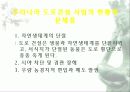 자동차가 가지는 의미와 환경에 미치는 요인들 90페이지
