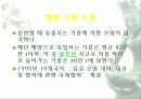 자동차가 가지는 의미와 환경에 미치는 요인들 94페이지