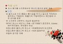 폐 플라스틱의 재활용가치 12페이지