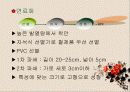 폐 플라스틱의 재활용가치 14페이지