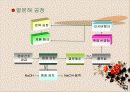폐 플라스틱의 재활용가치 18페이지