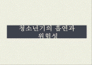 청소년기의 흡연과 위험성 1페이지