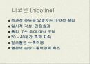 청소년기의 흡연과 위험성 6페이지