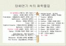 청소년기의 흡연과 위험성 9페이지