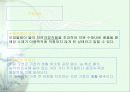 지구의오염 4페이지