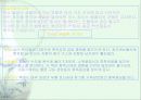 지구의오염 5페이지