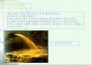 지구의오염 6페이지