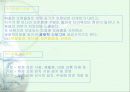 지구의오염 8페이지