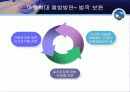 아동학대의 현황과 해결방안(A+레포트)★★★★★ 29페이지