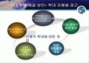 아동학대의 현황과 해결방안(A+레포트)★★★★★ 31페이지