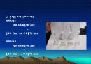 염화수소(티오시안제이수은 흡광광도법) 24페이지