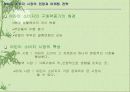 가족에 따른 의사결정과 그에 맞는 마케팅 18페이지