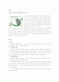 부부폭력의 문제점과 치료와 예방(A+레포트)★★★★★ 3페이지