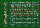 미래의 우리가정생활은 어떻게 변할까? 3페이지