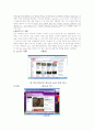 인터넷 참여 문화 8페이지