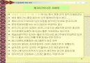 미술과 관련 직업정보 50페이지