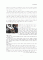 청소년 동성애에 관한 보고서-학교사회복지론 7페이지