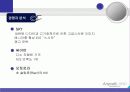삼성 애니콜의 마케팅 전략 분석-SWOT,STP,4P Mix(A+레포트) 11페이지