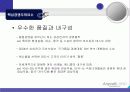 삼성 애니콜의 마케팅 전략 분석-SWOT,STP,4P Mix(A+레포트) 31페이지