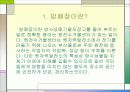 방폐장 선정을 둘러싼 환경과 개발문제(A+레포트)★★★★★ 3페이지