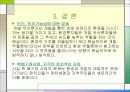 방폐장 선정을 둘러싼 환경과 개발문제(A+레포트)★★★★★ 18페이지