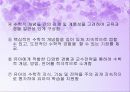 영유아교수법-수학교육의 내용요소를 중심으로 한 접근(A+레포트)★★★★★ 6페이지