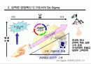 경영혁신 전략과 6시그마 15페이지