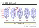 경영혁신 전략과 6시그마 23페이지