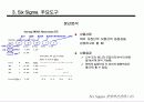 경영혁신 전략과 6시그마 45페이지