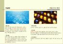 인간이 색깔을 인식하는 원리 5페이지