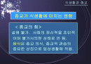 종교가 식생활에 미치는 영향 1페이지