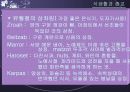 종교가 식생활에 미치는 영향 13페이지