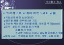 종교가 식생활에 미치는 영향 27페이지