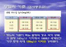 당뇨병의 개념과 원인 합병증 5페이지