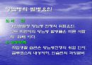 당뇨병의 개념과 원인 합병증 9페이지