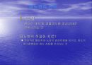 당뇨병의 개념과 원인 합병증 20페이지