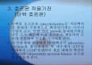 호르몬(Hormone)의 메카니즘에 관한 팀프로젝트//특A+급//그림 및 기작 풍부//평점 10을 노립니다 8페이지