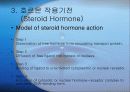 호르몬(Hormone)의 메카니즘에 관한 팀프로젝트//특A+급//그림 및 기작 풍부//평점 10을 노립니다 20페이지
