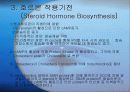 호르몬(Hormone)의 메카니즘에 관한 팀프로젝트//특A+급//그림 및 기작 풍부//평점 10을 노립니다 23페이지