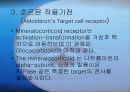 호르몬(Hormone)의 메카니즘에 관한 팀프로젝트//특A+급//그림 및 기작 풍부//평점 10을 노립니다 31페이지
