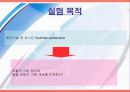 속슬렛 추출(Soxhlet Extraction) 실험 프레젠테이션 3페이지