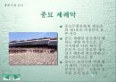 우리나라의 문화 유산 12페이지