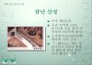 우리나라의 문화 유산 14페이지