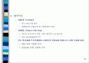 전자화폐의 개념과 이념 39페이지