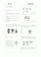 [과외]중학 과학 중3-6 세포분열 03 5페이지